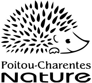 pcn logo